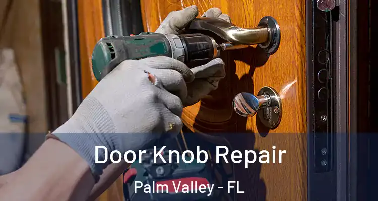  Door Knob Repair Palm Valley - FL
