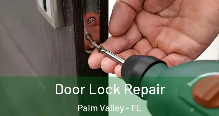  Door Lock Repair Palm Valley - FL