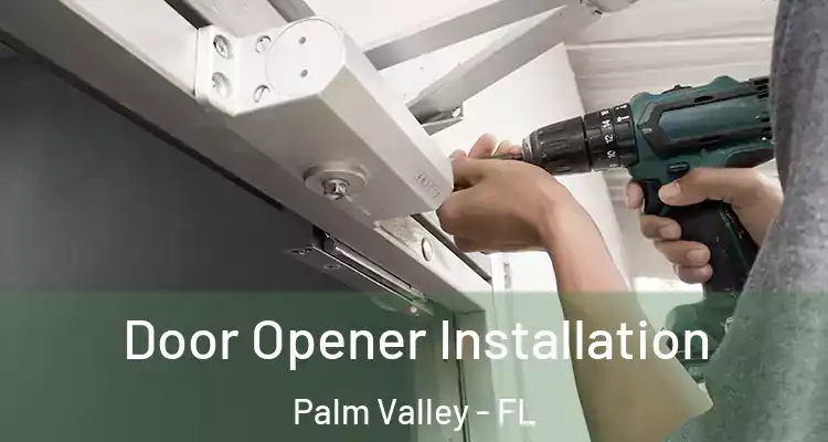  Door Opener Installation Palm Valley - FL