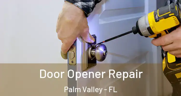  Door Opener Repair Palm Valley - FL