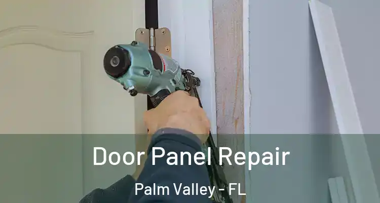  Door Panel Repair Palm Valley - FL