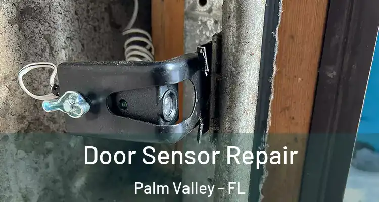  Door Sensor Repair Palm Valley - FL