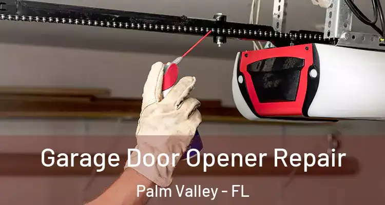  Garage Door Opener Repair Palm Valley - FL
