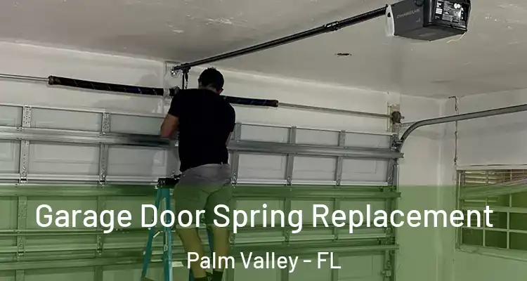  Garage Door Spring Replacement Palm Valley - FL