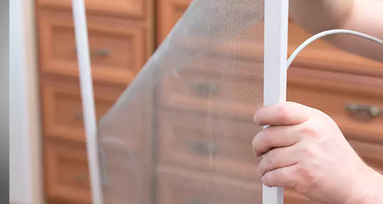 Privacy Mesh Screen Door Installation in Palm Valley, FL