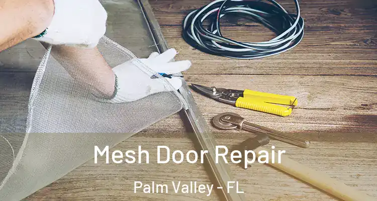  Mesh Door Repair Palm Valley - FL