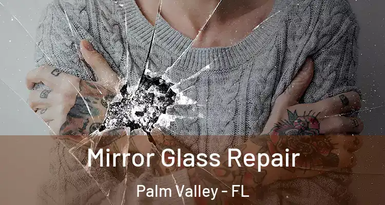  Mirror Glass Repair Palm Valley - FL