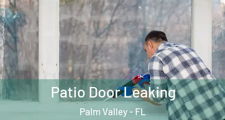  Patio Door Leaking Palm Valley - FL