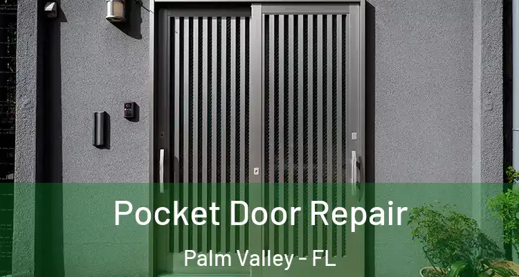  Pocket Door Repair Palm Valley - FL