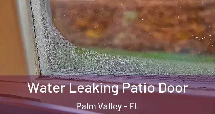  Water Leaking Patio Door Palm Valley - FL