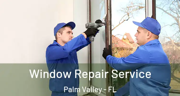  Window Repair Service Palm Valley - FL